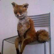 capoeiratr's Stream profile image