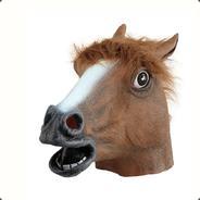 Crazy Horse's Stream profile image