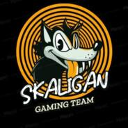 SKALIGAN's Stream profile image