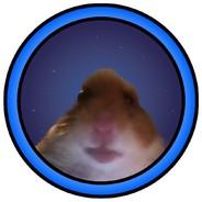 RubbieB.'s Stream profile image