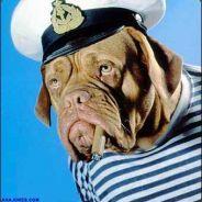 KNS/H@nsWurst's Stream profile image