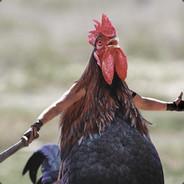 HAx's - Steam avatar