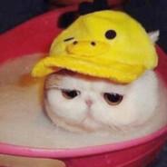 ¿¿'s Stream profile image
