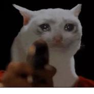 petr.kope's Stream profile image