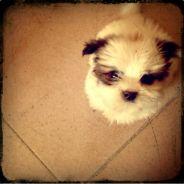 谦。's - Steam avatar