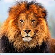 BOT LION's - Steam avatar