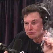 Stoned Elon's Stream profile image