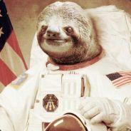 otter's Stream profile image