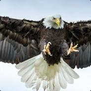 Errymetal's - Steam avatar