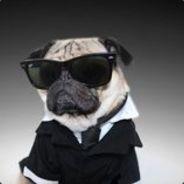 Fir3AtWill's Stream profile image