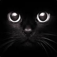 Cat's Stream profile image