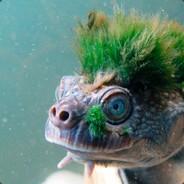 River's - Steam avatar