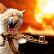 Mähne's Stream profile image