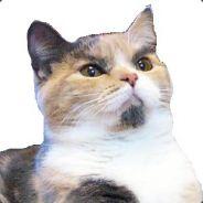 Loreawum's Stream profile image