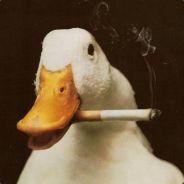 waterchicken's Stream profile image