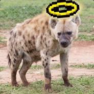 HolyHyena's Stream profile image