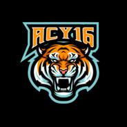 ACY16's Stream profile image