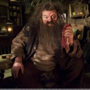 Rubeus Hagrid's Stream profile image