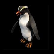 [TOXI] Don Pingüino AOE's Stream profile image