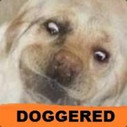 Doggered's - Steam avatar