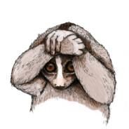 slow loris's - Steam avatar