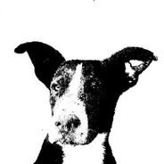 AYAKS's - Steam avatar
