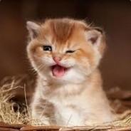 Workdayhorizon6's Stream profile image