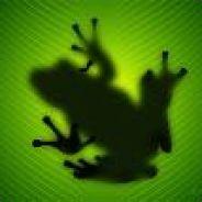 Frog's - Steam avatar