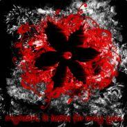 Hansi's - Steam avatar
