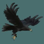 Blackhawk1404's - Steam avatar