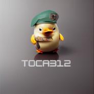 Toca312's Stream profile image