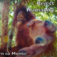 Reject Humanity, Return to Monke's - Steam avatar