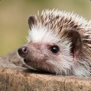 Timmy's - Steam avatar