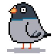 PIGEON's - Steam avatar