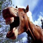 Derp Gently's - Steam avatar