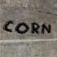 Randcorn's Stream profile image