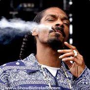 GBS  Snoop dogg's Stream profile image