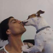 Babu_Sloth's Stream profile image