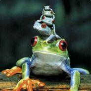 BluJ's - Steam avatar