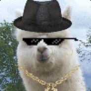 Llama's - Steam avatar