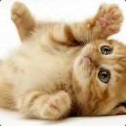 紅色玩家's Stream profile image