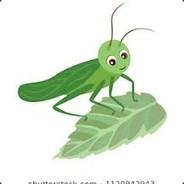 The Grasshopper's Stream profile image