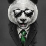 Panda's - Steam avatar