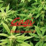 Gagi's - Steam avatar