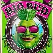 BIGBUD's Stream profile image