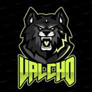 Valcho's Stream profile image