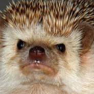 Jukka5's Stream profile image