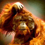 NOBLE-USmulet66's Stream profile image