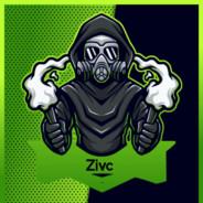 Zivc's Stream profile image