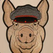 Old Hog's Stream profile image